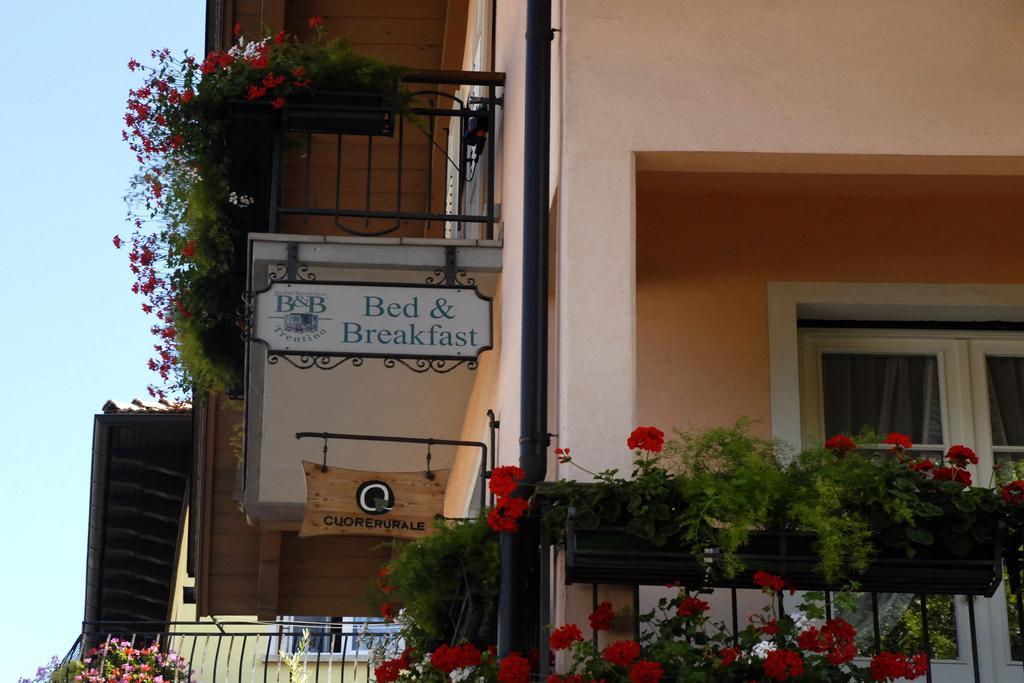 B&B Casa Riz Castello-Molina di Fiemme Εξωτερικό φωτογραφία